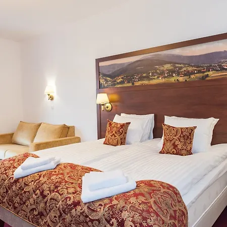 Hotel Buczyński****medical&spa Świeradów-Zdrój